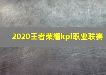 2020王者荣耀kpl职业联赛