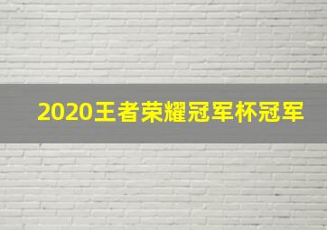 2020王者荣耀冠军杯冠军