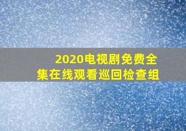 2020电视剧免费全集在线观看巡回检查组