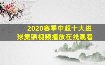 2020赛季中超十大进球集锦视频播放在线观看