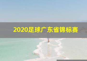 2020足球广东省锦标赛