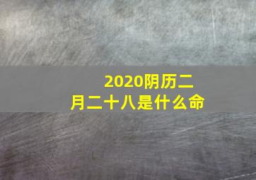 2020阴历二月二十八是什么命