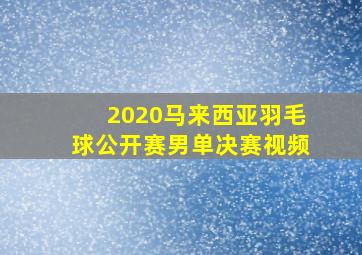 2020马来西亚羽毛球公开赛男单决赛视频