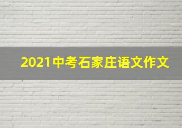 2021中考石家庄语文作文