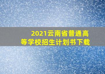 2021云南省普通高等学校招生计划书下载