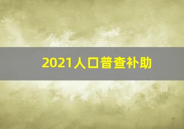 2021人口普查补助