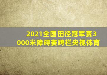 2021全国田径冠军赛3000米障碍赛跨栏央视体育