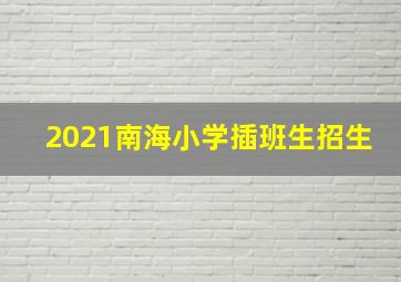 2021南海小学插班生招生