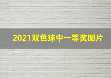 2021双色球中一等奖图片