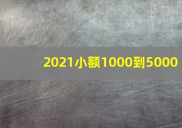 2021小额1000到5000