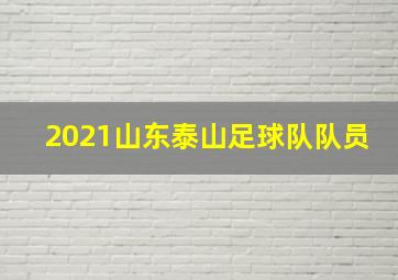 2021山东泰山足球队队员