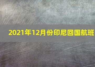 2021年12月份印尼回国航班