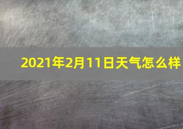 2021年2月11日天气怎么样