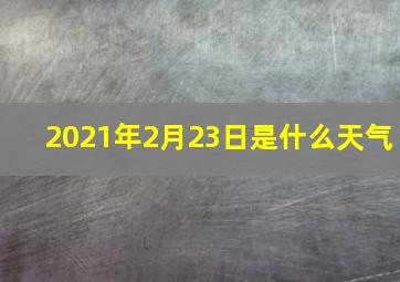 2021年2月23日是什么天气