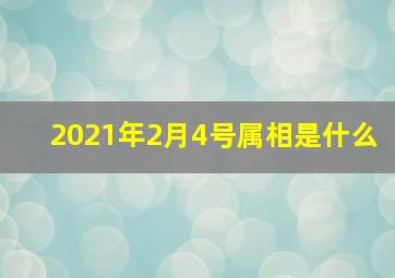 2021年2月4号属相是什么