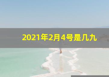 2021年2月4号是几九