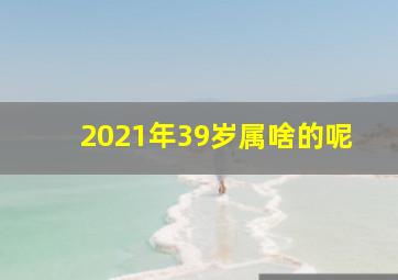 2021年39岁属啥的呢