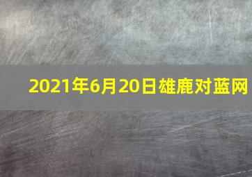 2021年6月20日雄鹿对蓝网