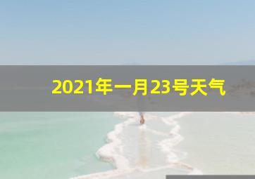 2021年一月23号天气