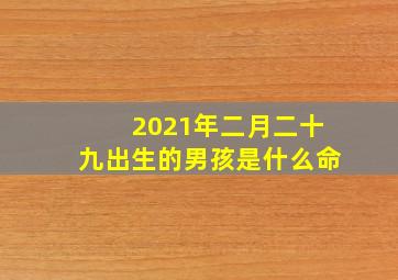 2021年二月二十九出生的男孩是什么命