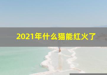 2021年什么猫能红火了