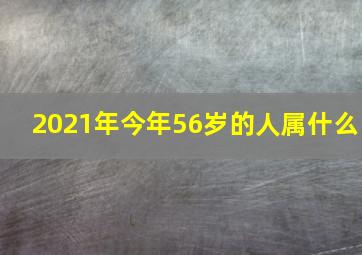 2021年今年56岁的人属什么