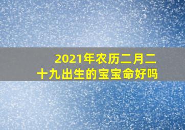 2021年农历二月二十九出生的宝宝命好吗