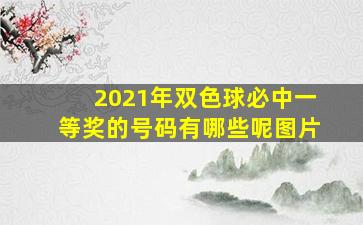 2021年双色球必中一等奖的号码有哪些呢图片