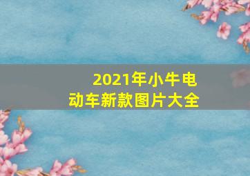 2021年小牛电动车新款图片大全