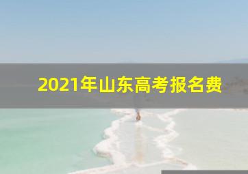 2021年山东高考报名费