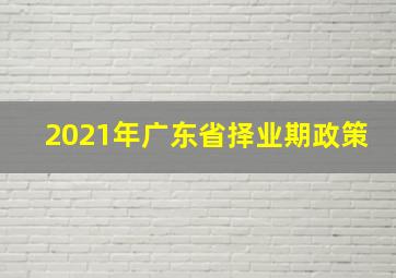 2021年广东省择业期政策