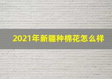 2021年新疆种棉花怎么样