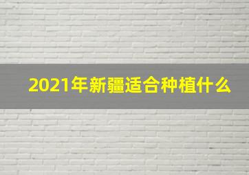 2021年新疆适合种植什么