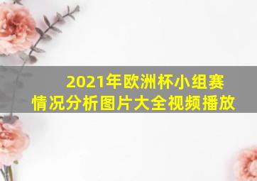 2021年欧洲杯小组赛情况分析图片大全视频播放