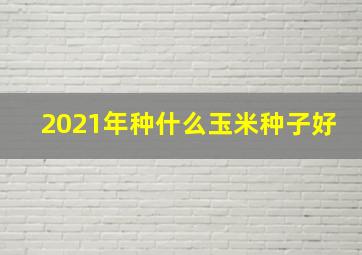 2021年种什么玉米种子好