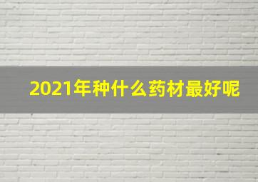 2021年种什么药材最好呢