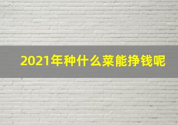 2021年种什么菜能挣钱呢