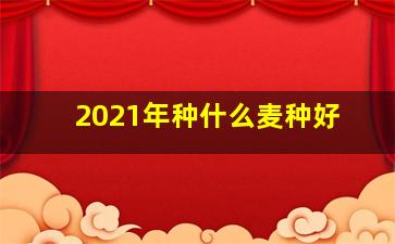 2021年种什么麦种好