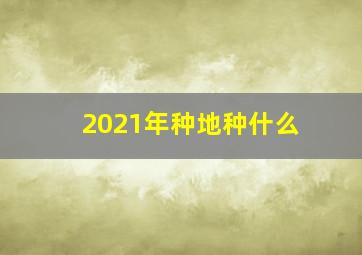 2021年种地种什么