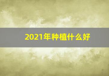 2021年种植什么好