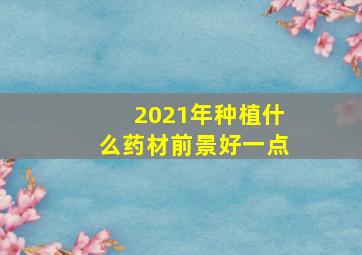 2021年种植什么药材前景好一点