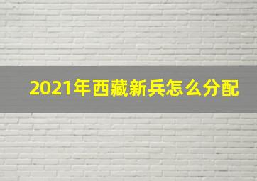 2021年西藏新兵怎么分配