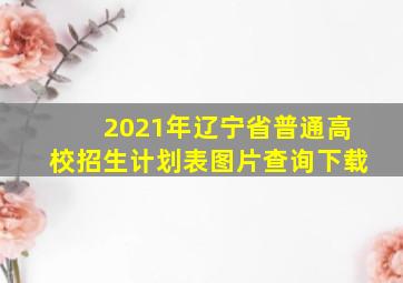 2021年辽宁省普通高校招生计划表图片查询下载