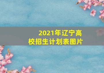 2021年辽宁高校招生计划表图片