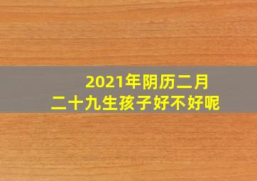 2021年阴历二月二十九生孩子好不好呢