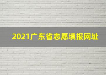 2021广东省志愿填报网址