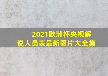 2021欧洲杯央视解说人员表最新图片大全集