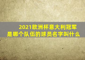 2021欧洲杯意大利冠军是哪个队伍的球员名字叫什么