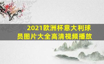 2021欧洲杯意大利球员图片大全高清视频播放