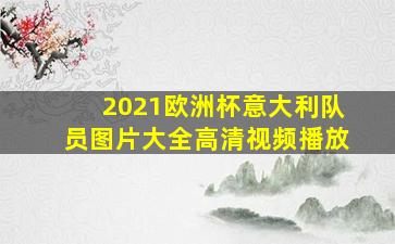 2021欧洲杯意大利队员图片大全高清视频播放